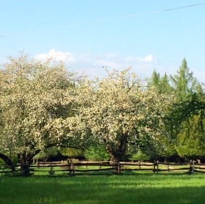 IMG_3673 - Version 2